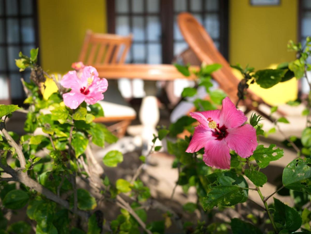 Las Flores Beachside Hotel Catmon Luaran gambar